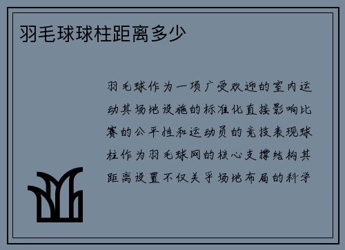 羽毛球球柱距离多少